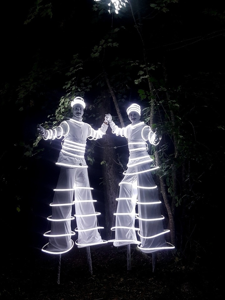 échassiers Blancs Lumineux